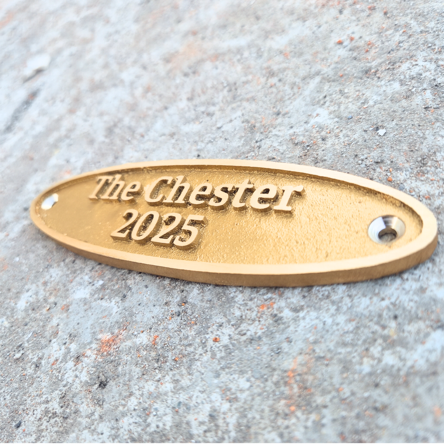 Custom Brass Oval Name Plaque – Personalized Door & Wall Plaque | Engraved Sign Plaques